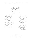 Compounds and assays for controlling Wnt activity diagram and image