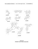 Compounds and assays for controlling Wnt activity diagram and image