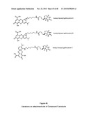 Compounds and assays for controlling Wnt activity diagram and image