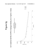 PEPTIDOMIMETIC MACROCYCLES WITH IMPROVED PROPERTIES diagram and image