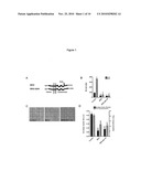 BRI POLYPEPTIDES AND REDUCING AB AGGREGATION diagram and image