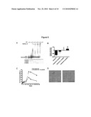 BRI POLYPEPTIDES AND REDUCING AB AGGREGATION diagram and image