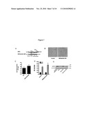 BRI POLYPEPTIDES AND REDUCING AB AGGREGATION diagram and image