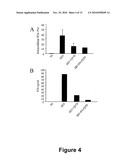 COMPOUNDS FOR PREVENTING OR TREATING A VIRAL INFECTION diagram and image