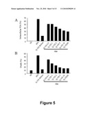 COMPOUNDS FOR PREVENTING OR TREATING A VIRAL INFECTION diagram and image