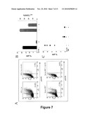 COMPOUNDS FOR PREVENTING OR TREATING A VIRAL INFECTION diagram and image