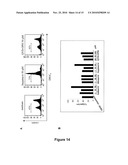 COMPOUNDS FOR PREVENTING OR TREATING A VIRAL INFECTION diagram and image