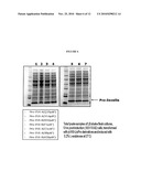 Modified Insulin Polypeptides and Their Uses diagram and image