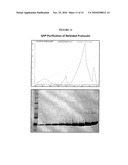 Modified Insulin Polypeptides and Their Uses diagram and image