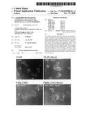 Cancer therapeutic agents comprising a ligand for the neuromedin u receptor 2 (fm4) molecule as an active ingredient diagram and image