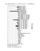 Cancer therapeutic agents comprising a ligand for the neuromedin u receptor 2 (fm4) molecule as an active ingredient diagram and image