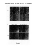 Cancer therapeutic agents comprising a ligand for the neuromedin u receptor 2 (fm4) molecule as an active ingredient diagram and image