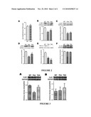 USE OF HDAC INHIBITORS FOR TREATMENT OF CARDIAC RHYTHM DISORDERS diagram and image