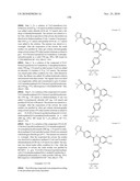 BENZAMIDES AND RELATED INHIBITORS OF FACTOR XA diagram and image