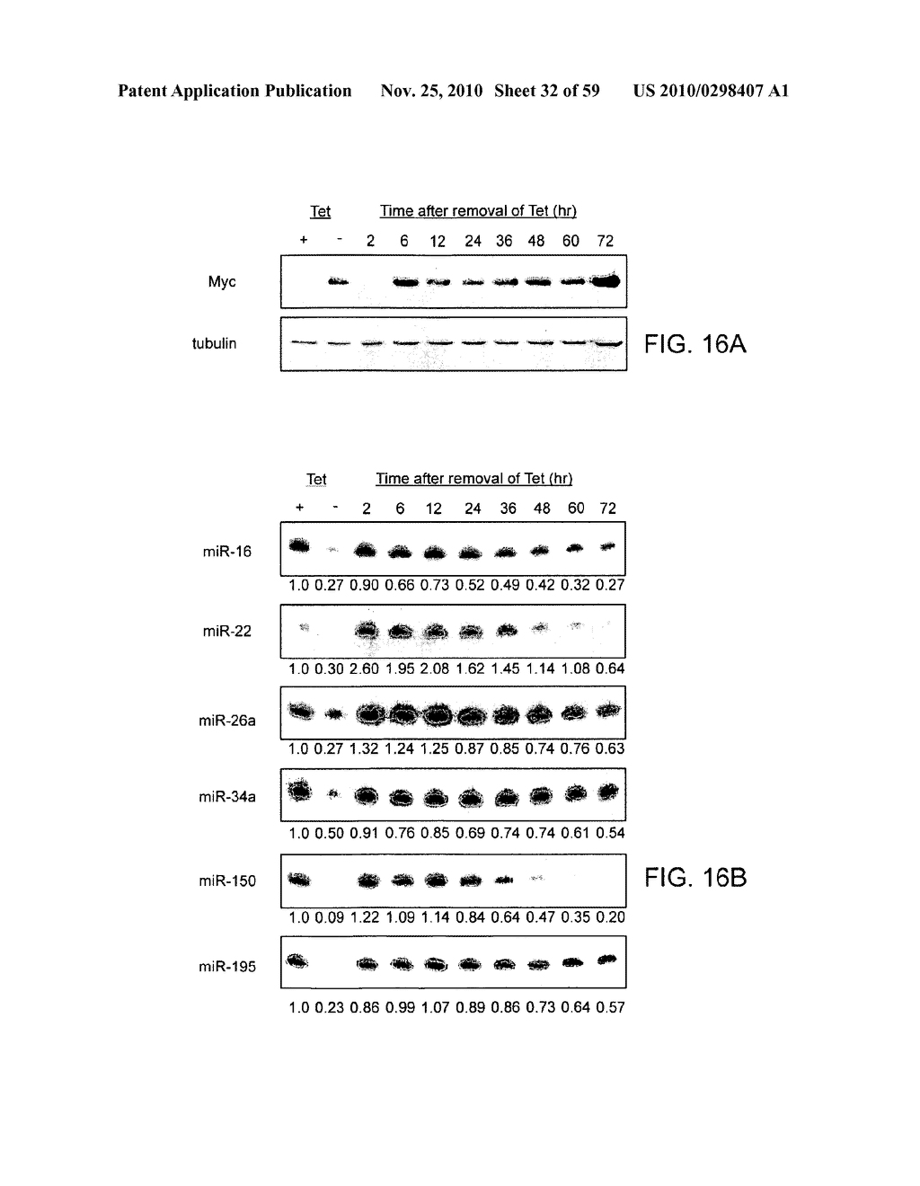 COMPOSITIONS AND METHODS FEATURING MICRONAS FOR TREATING NEOPLASIA - diagram, schematic, and image 33