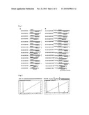 LIPID-MODIFIED DOUBLE-STRANDED RNA HAVING POTENT RNA INTERFERENCE EFFECT diagram and image