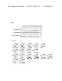 LIPID-MODIFIED DOUBLE-STRANDED RNA HAVING POTENT RNA INTERFERENCE EFFECT diagram and image