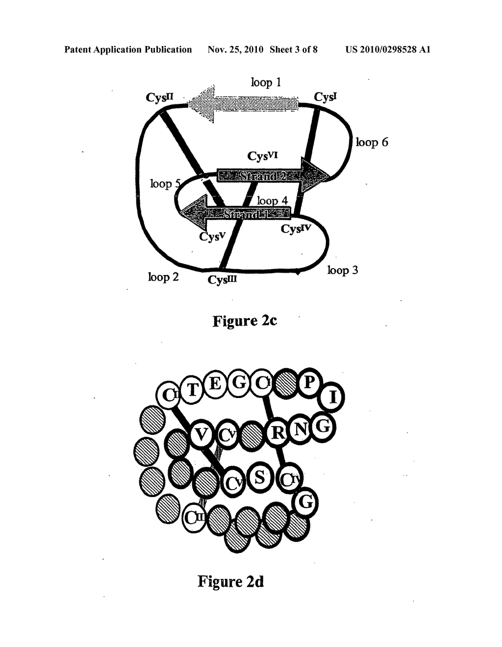 Cystine knot molecules - diagram, schematic, and image 04