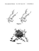 Crystal Structure of a MarR Family Polypeptide diagram and image