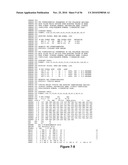 Crystal Structure of a MarR Family Polypeptide diagram and image