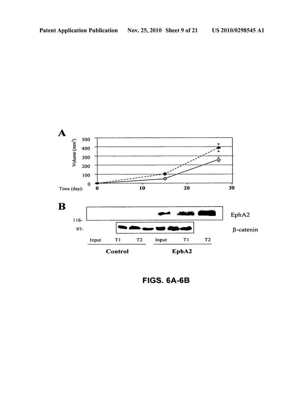 EphA2 AGONISTIC MONOCLONAL ANTIBODIES AND METHODS OF USE THEREOF - diagram, schematic, and image 10