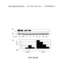 EphA2 AGONISTIC MONOCLONAL ANTIBODIES AND METHODS OF USE THEREOF diagram and image