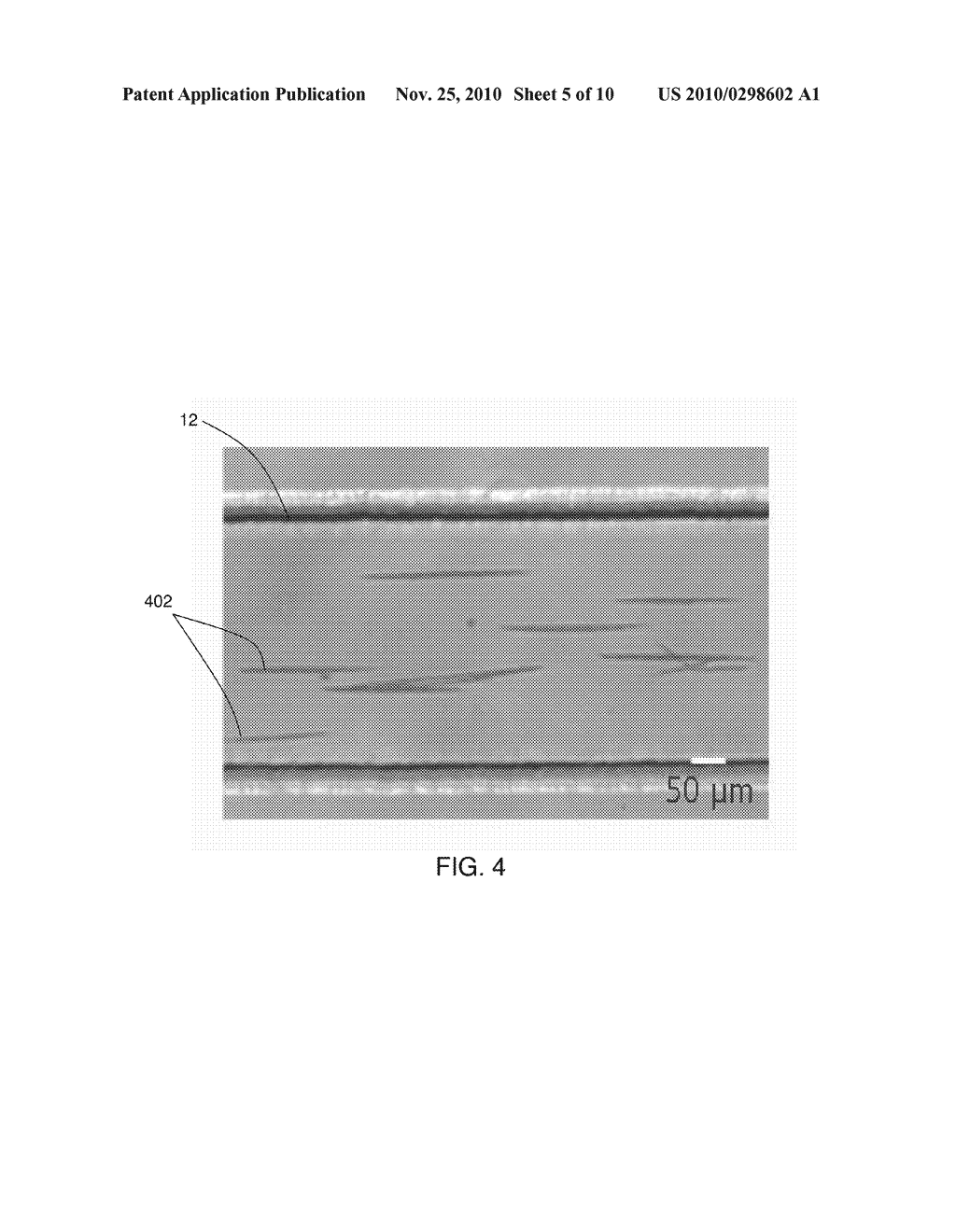 SYSTEMS AND METHODS FOR MICROFLUIDIC CRYSTALLIZATION - diagram, schematic, and image 06