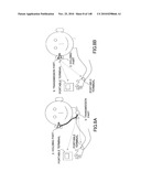 LIVING BODY INFORMATION DETECTION APPARATUS AND BLOOD-PRESSURE METER diagram and image