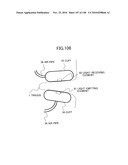 LIVING BODY INFORMATION DETECTION APPARATUS AND BLOOD-PRESSURE METER diagram and image