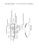 LIVING BODY INFORMATION DETECTION APPARATUS AND BLOOD-PRESSURE METER diagram and image