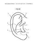 LIVING BODY INFORMATION DETECTION APPARATUS AND BLOOD-PRESSURE METER diagram and image