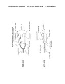 LIVING BODY INFORMATION DETECTION APPARATUS AND BLOOD-PRESSURE METER diagram and image