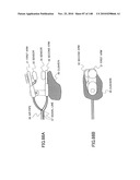 LIVING BODY INFORMATION DETECTION APPARATUS AND BLOOD-PRESSURE METER diagram and image