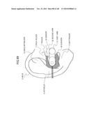 LIVING BODY INFORMATION DETECTION APPARATUS AND BLOOD-PRESSURE METER diagram and image