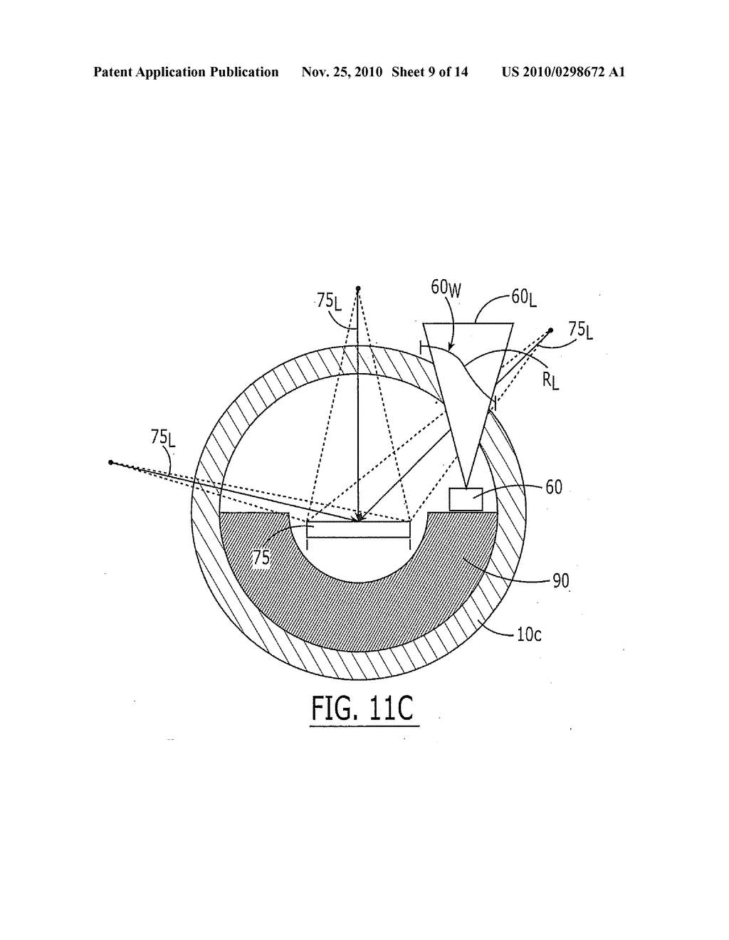 METHODS FOR EVALUATING A SUBJECT USING DATA ASSOCIATED WITH A FLUORESCENT ANALYTE - diagram, schematic, and image 10