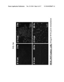 METHOD AND DEVICES FOR IMPROVED EFFICIENCY OF RNA DELIVERY TO CELLS diagram and image