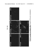 METHOD AND DEVICES FOR IMPROVED EFFICIENCY OF RNA DELIVERY TO CELLS diagram and image