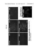 METHOD AND DEVICES FOR IMPROVED EFFICIENCY OF RNA DELIVERY TO CELLS diagram and image