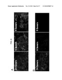 METHOD AND DEVICES FOR IMPROVED EFFICIENCY OF RNA DELIVERY TO CELLS diagram and image