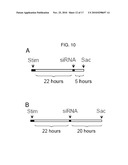 METHOD AND DEVICES FOR IMPROVED EFFICIENCY OF RNA DELIVERY TO CELLS diagram and image