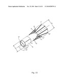  ELECTROPORATION DEVICE FOR IMPROVED ELECTRICAL FIELD CONTROL diagram and image