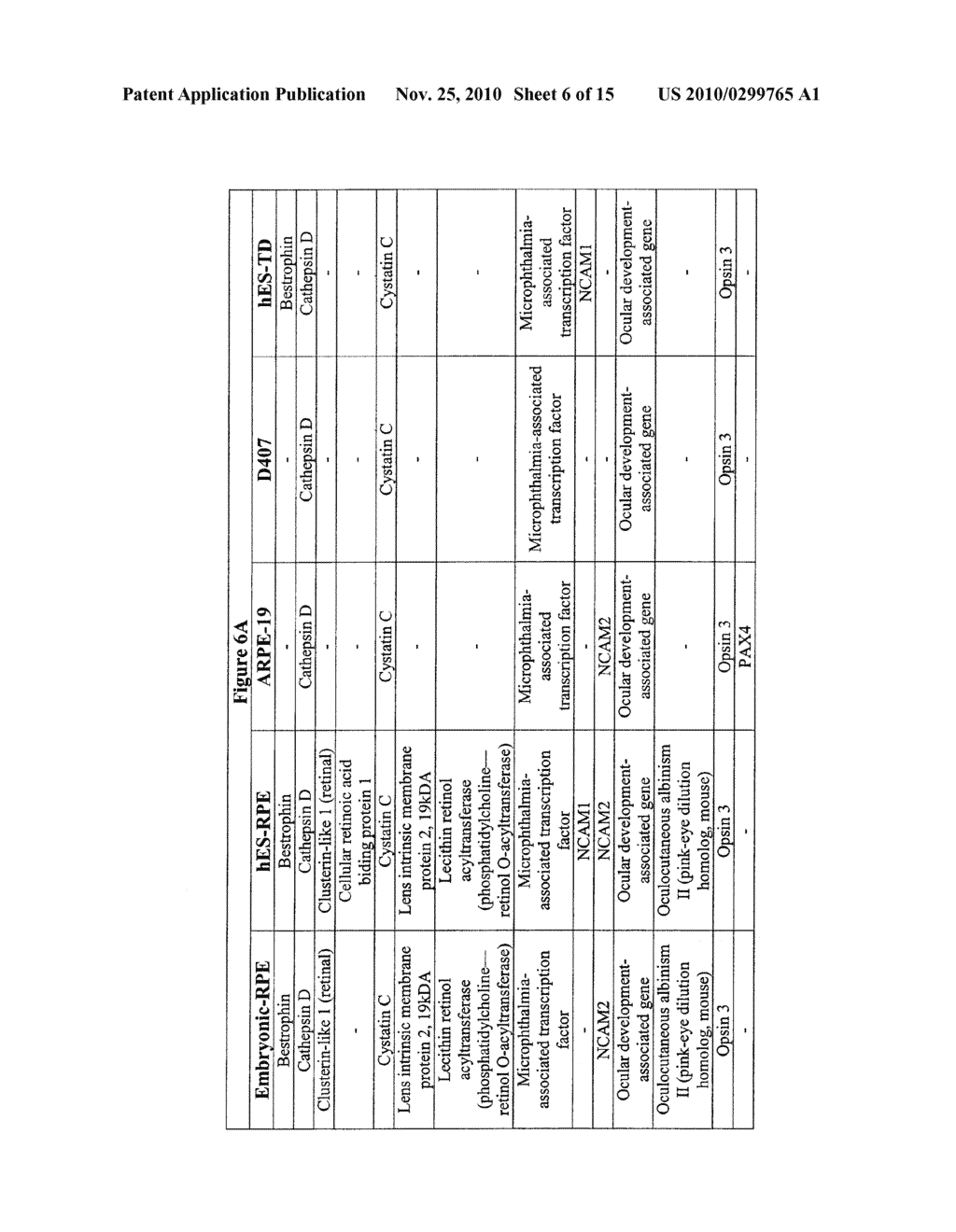 MODALITIES FOR THE TREATMENT OF DEGENERATIVE DISEASES OF THE RETINA - diagram, schematic, and image 07