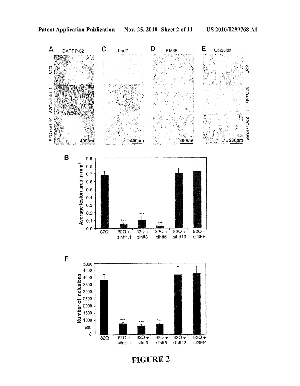 Reversible siRNA-Based Silencing of Mutant and Endogenous Wild-Type Huntingtin Gene and its Application for the Treatment of Huntington's Disease - diagram, schematic, and image 03