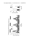 NOVEL PEPTIDE INVOLVED IN ENERGY HOMEOSTASIS diagram and image