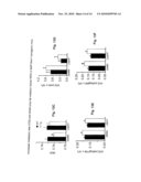 NOVEL PEPTIDE INVOLVED IN ENERGY HOMEOSTASIS diagram and image