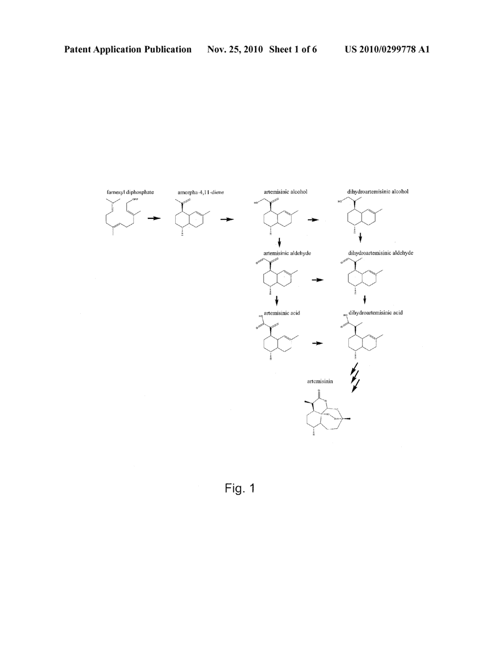 NUCLEOTIDE SEQUENCE ENCODING ARTEMISINIC ALDEHYDE DOUBLE BOND REDUCTASE, ARTEMISINIC ALDEHYDE DOUBLE BOND REDUCTASE AND USES THEREOF - diagram, schematic, and image 02