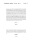 NUCLEOTIDE SEQUENCE ENCODING ARTEMISINIC ALDEHYDE DOUBLE BOND REDUCTASE, ARTEMISINIC ALDEHYDE DOUBLE BOND REDUCTASE AND USES THEREOF diagram and image