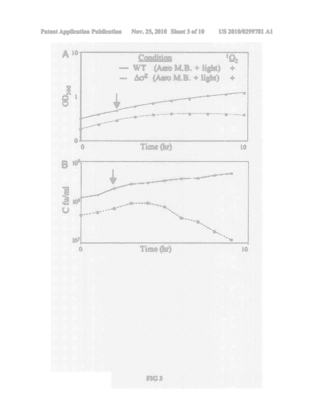 RESPONSES TO SINGLET OXYGEN - diagram, schematic, and image 04