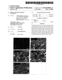 BORON SUBOXIDE COMPOSITE MATERIALS diagram and image