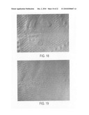 Reduced ply separation tail seal diagram and image